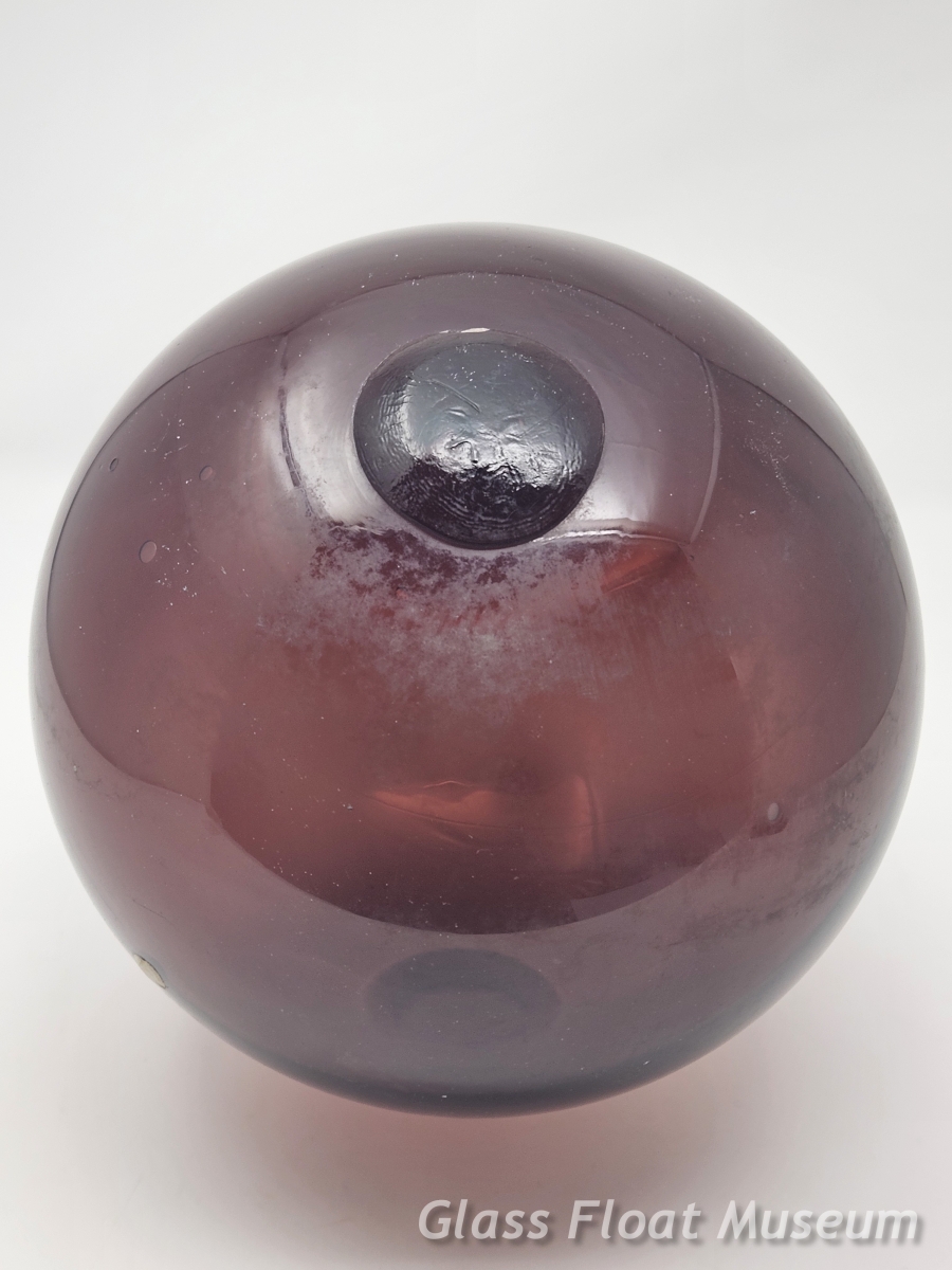 WP #2, FF, Purple, 7 Inch