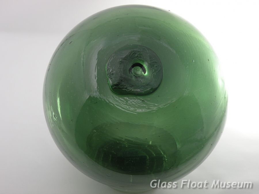 Sunrise in a Cherry Blossom 'Hinode Sakura', 10 Inch