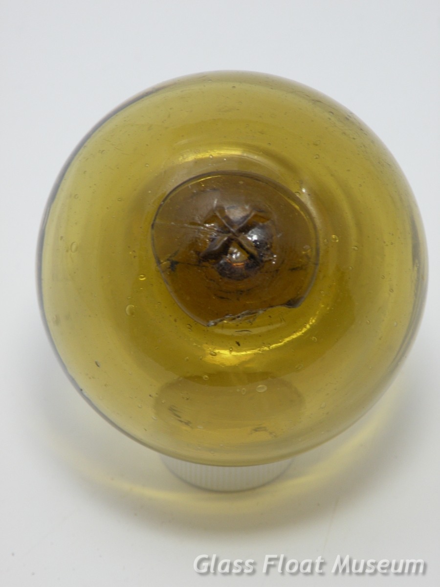 WP #188, 'Chichi' 父, Gold, Rare, 3 Inch